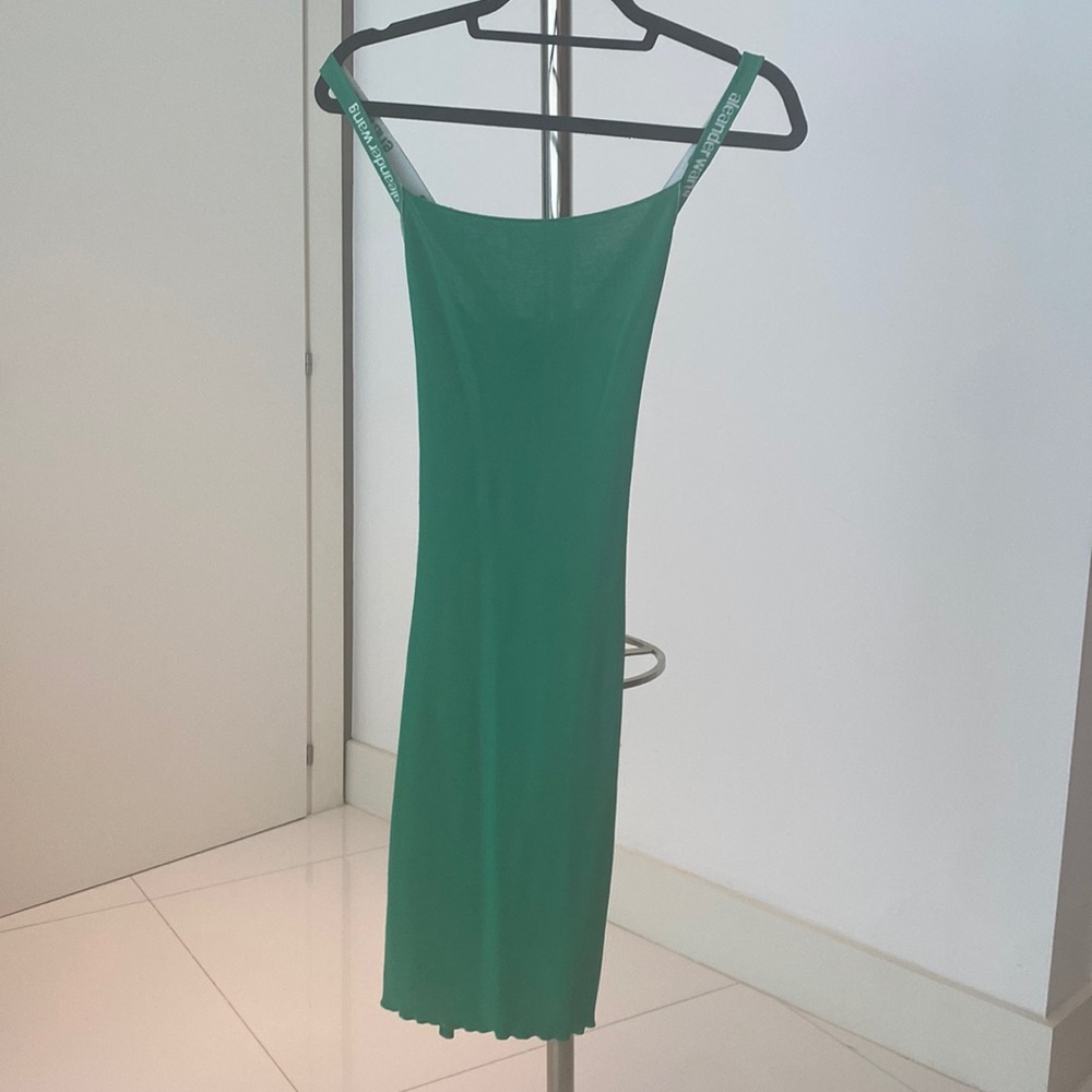 Alexander wang dress